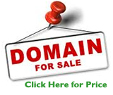 Premium Domain for Sale